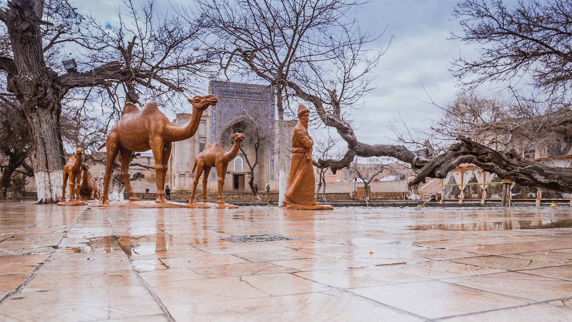 Ляби хауз (2)
